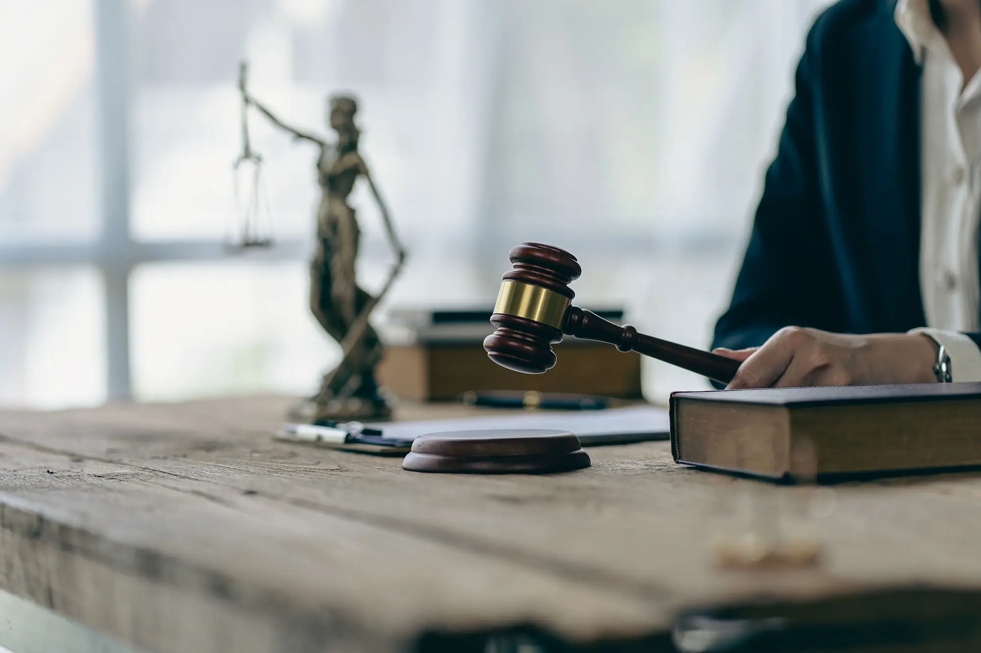 법무법인 대륜의 장애인성폭행 조력 사항