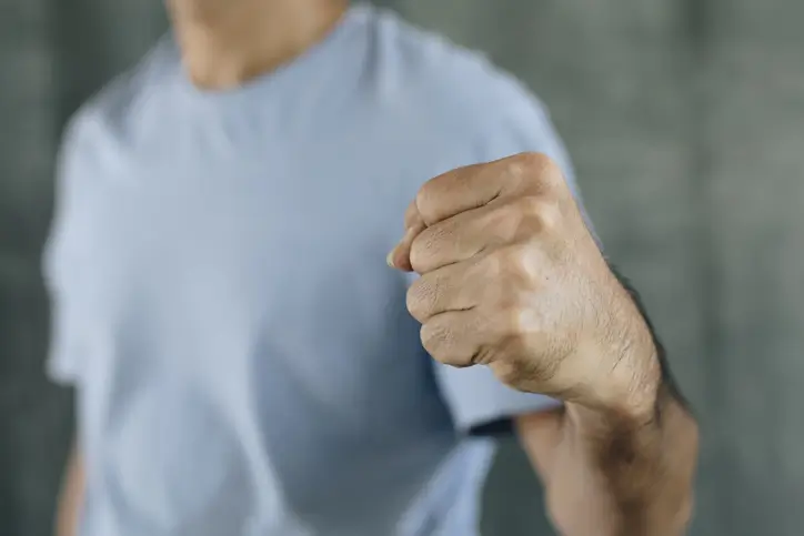 법무법인 대륜 폭행협박 폭행 특수협박 불기소 마무리