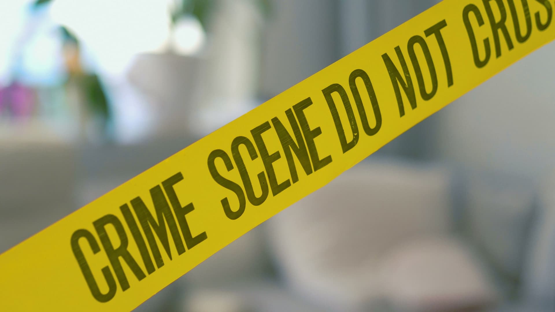 법무법인 대륜 특정범죄가중처벌법 내용 설명