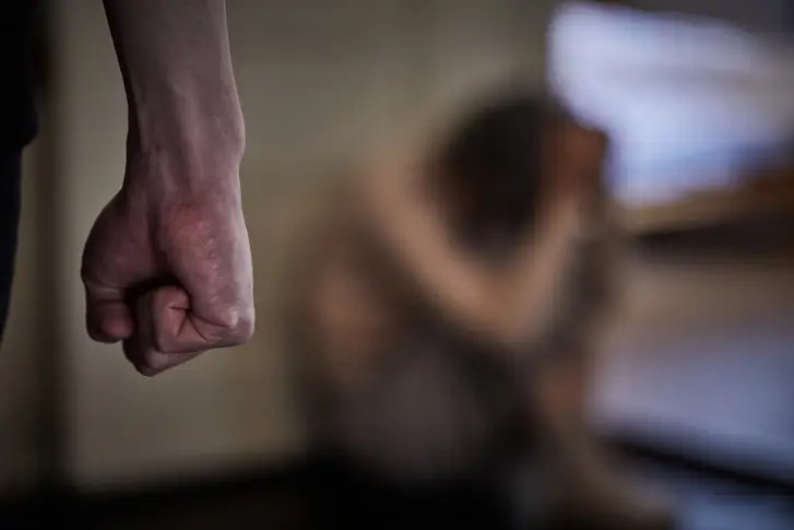 폭행·폭행죄 업무 분야 법무법인 대륜