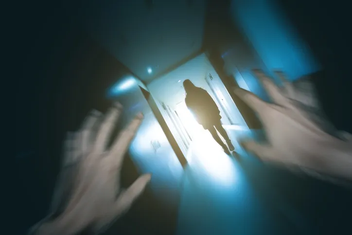 법률상담으로 제공한 처벌 방어 조력